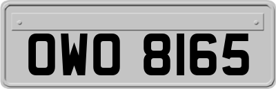 OWO8165