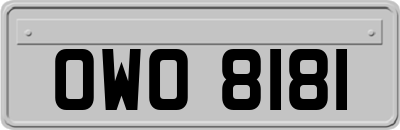 OWO8181