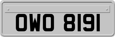 OWO8191