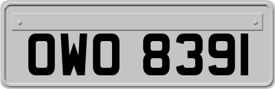 OWO8391