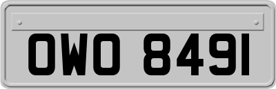 OWO8491