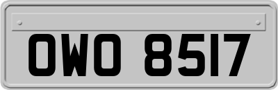 OWO8517