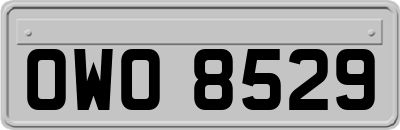 OWO8529