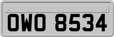 OWO8534