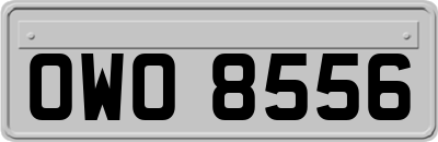 OWO8556
