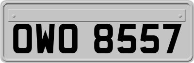 OWO8557