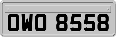 OWO8558