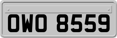 OWO8559
