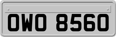 OWO8560