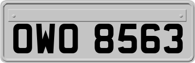 OWO8563