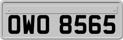 OWO8565