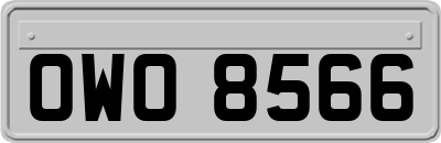 OWO8566