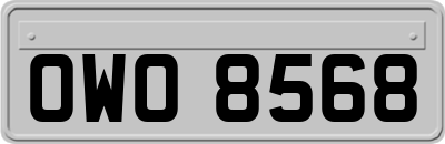 OWO8568