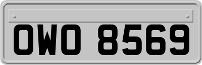 OWO8569