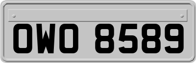 OWO8589