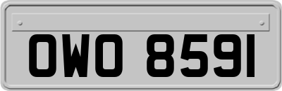 OWO8591