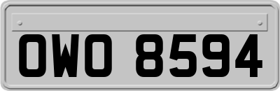 OWO8594