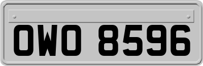 OWO8596