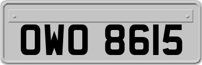OWO8615