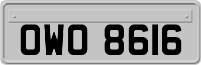 OWO8616