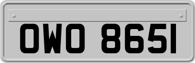 OWO8651