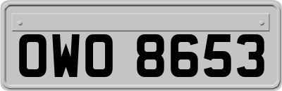 OWO8653