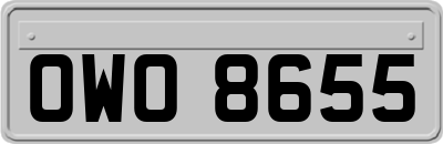 OWO8655