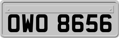 OWO8656