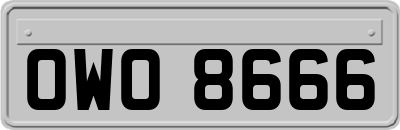 OWO8666