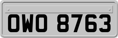 OWO8763
