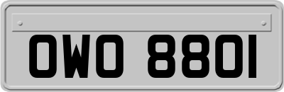 OWO8801