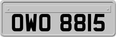 OWO8815