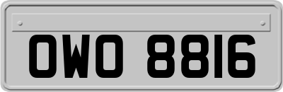 OWO8816