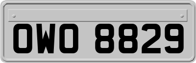 OWO8829
