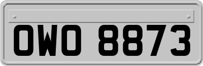OWO8873