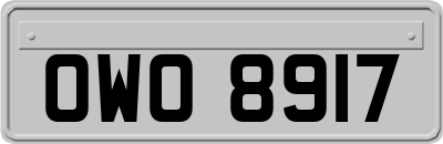 OWO8917