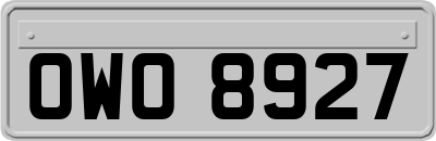 OWO8927