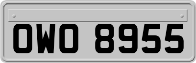OWO8955
