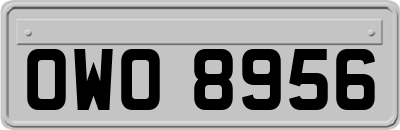 OWO8956