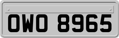 OWO8965