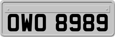OWO8989
