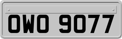 OWO9077