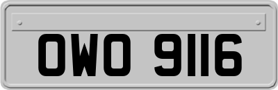 OWO9116
