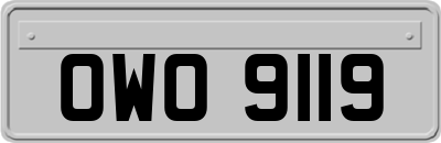 OWO9119