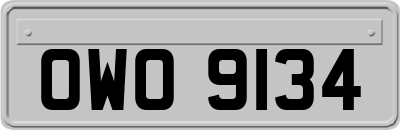 OWO9134