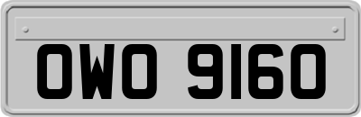 OWO9160