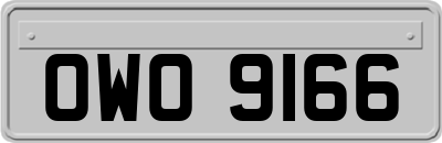 OWO9166