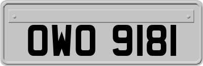 OWO9181