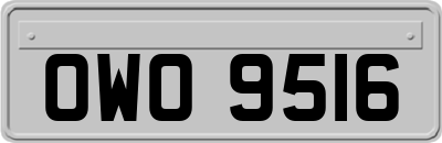 OWO9516