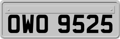 OWO9525